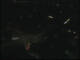 Gottinga 30.04.2025 02:48
