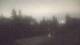 Medina, Washington 04.08.2026 02:16