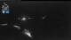Flattach 30.06.2025 02:01