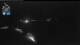 Flattach 09.06.2025 02:01