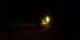Argelès-sur-Mer 26.03.2025 02:13