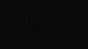 Saint-Jean-de-Luz 30.04.2025 02:03