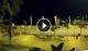 Los Cristianos (Tenerife) 09.05.2025 02:14