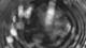 Gartow 09.06.2025 02:04