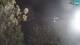 Povile 01.05.2025 02:06