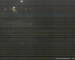 Port Douglas 15.06.2025 02:47