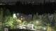 Bellevue, Washington 15.07.2025 02:26