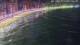 Benidorm 01.05.2025 02:06