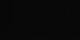 Melchsee-Frutt 15.06.2025 02:54