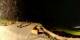 Verbier 21.06.2025 02:56
