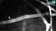 Rogla 03.07.2025 02:06