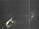Hessisch Oldendorf 01.05.2025 02:08