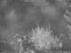 Benillup 08.07.2025 02:11
