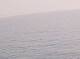 AIDAbella 15.07.2025 02:22