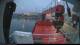 Minik Arctica 15.06.2025 02:12