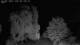 Mandelsloh 10.07.2025 02:12