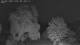 Mandelsloh 09.06.2025 02:12