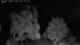 Mandelsloh 03.07.2025 02:12
