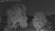 Mandelsloh 12.06.2025 02:12