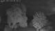 Mandelsloh 14.06.2025 02:12