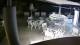 Bellaria-Igea Marina 09.06.2025 02:49