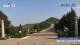 Tai Shan 01.05.2025 02:33