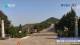 Tai Shan 04.07.2025 02:33