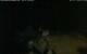 Walton 06.07.2025 02:08