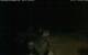 Walton 08.07.2025 02:08
