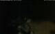 Walton 15.06.2025 02:08