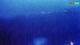 Kolan (Pag) 30.04.2025 02:15