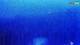 Kolan (Pag) 15.06.2025 02:14