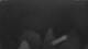 Huntlosen 01.05.2025 02:15