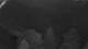 Huntlosen 13.07.2025 02:24
