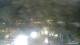 Lerici 12.07.2025 02:17