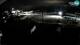 Portorož 22.03.2025 02:26