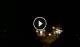 Baden-Baden 14.06.2025 02:17