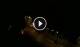 Caorle 01.05.2025 02:18