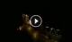 Caorle 09.07.2025 02:17