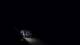 Jurmala 12.07.2025 02:18