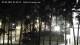Jurmala 30.04.2025 02:18