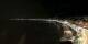 Nizza 01.05.2025 02:19