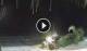 Bwejuu (Sansibar) 01.05.2025 02:21