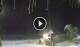 Bwejuu (Sansibar) 09.06.2025 02:20