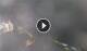 Furore 30.04.2025 02:21