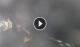 Furore 01.05.2025 02:21