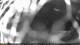 Agno (Luganersee) 12.07.2025 02:21