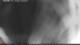 Torbole (Lac de Garde) 30.04.2025 02:22