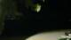 Le Morne 30.04.2025 02:22