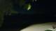Le Morne 09.06.2025 02:22
